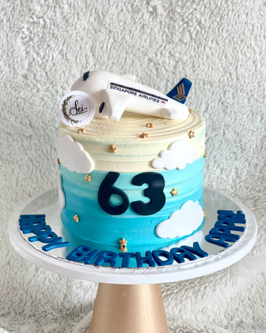 Singapore Airlines Aeroplane Cake